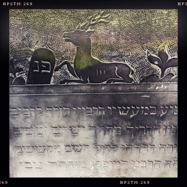 Detail of Matzevah in Jewish Cemetary, Photo: Paul Bargetto