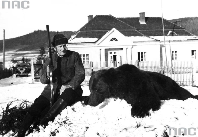  Prezydent RP Ignacy Mościcki obok zabitego niedźwiedzia, Iłomnia, 1932, fot. Witold Pikiel / www.audiovis.nac.gov.pl (NAC)