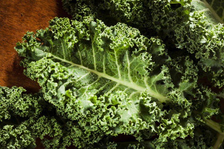 Kale, photo: East News 