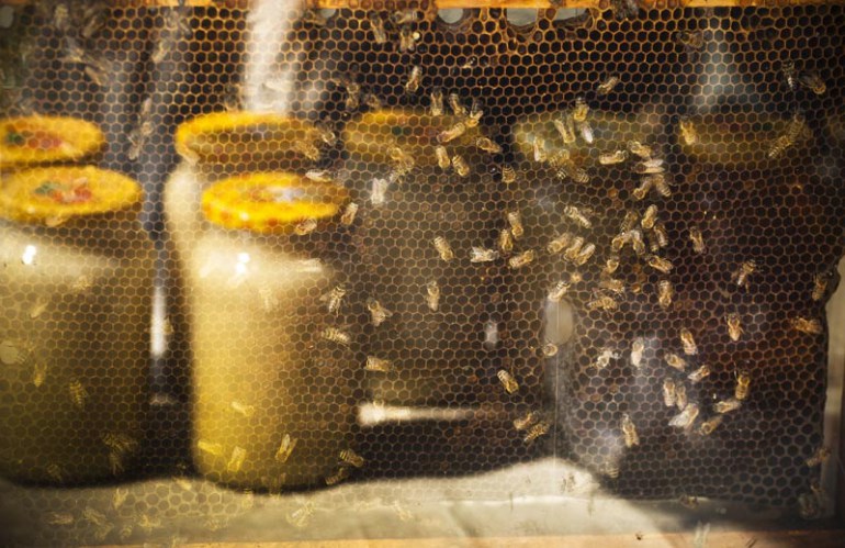Honey at the Open-air Archaeological Museum Karpacka Troja in Krosno, photo:Waldemar Sosnowski / AG