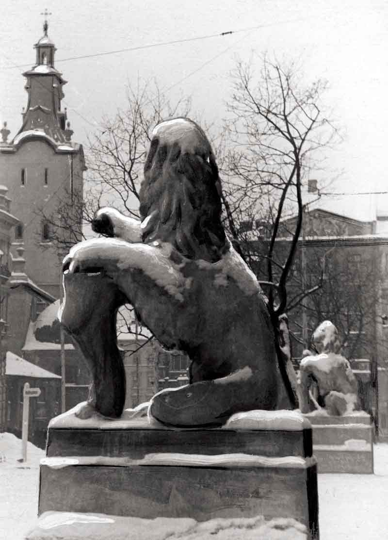 Lwy przed lwowskim ratuszem, fot. autor nieznany