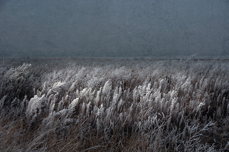 Tomek Sikora, fotografia z cyklu "Cztery pory roku", dzięki uprzejmości Leica Gallery