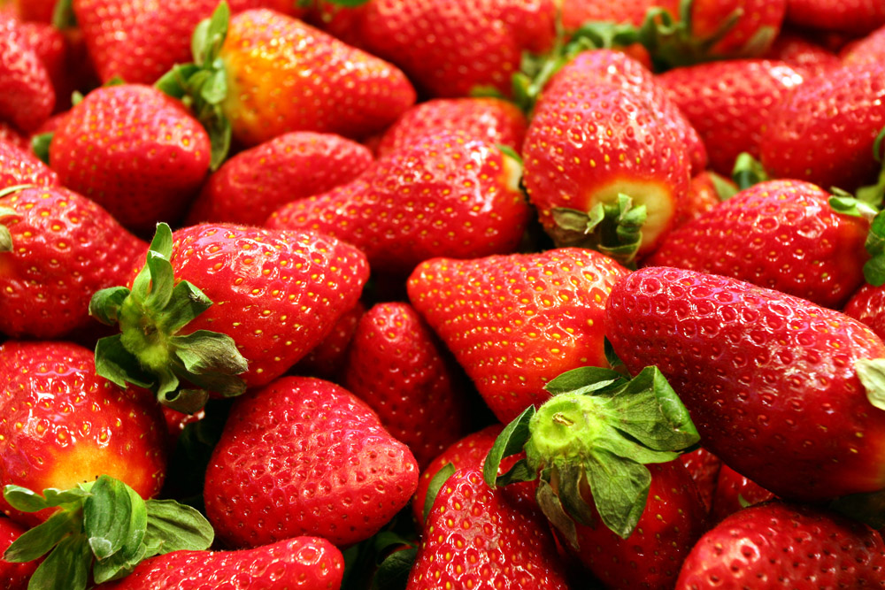 Strawberries, photo. Bartłomiej Molga / Forum