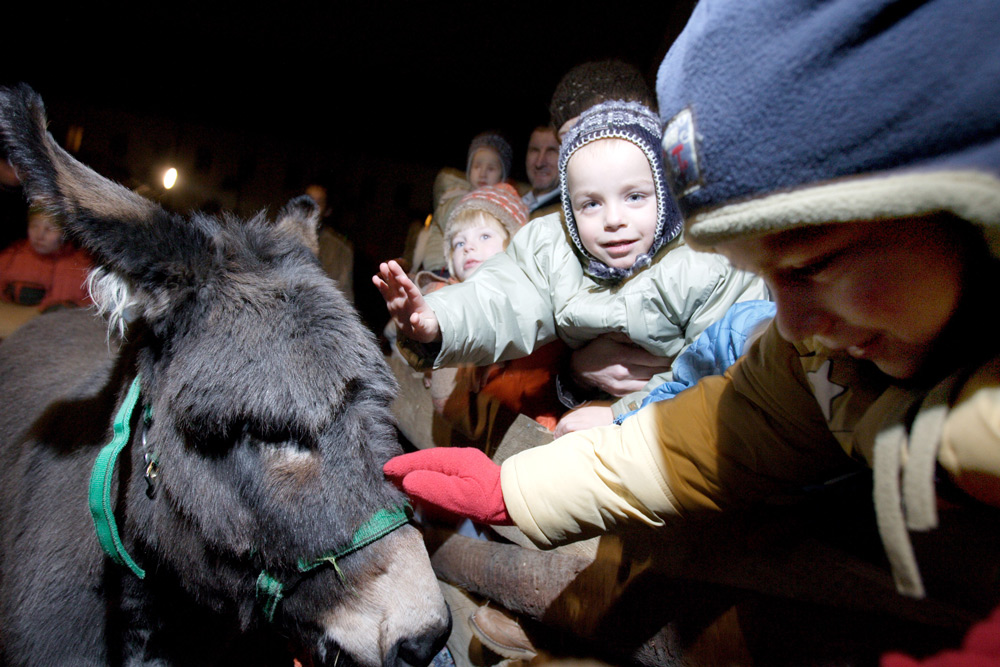 含有真實動物的克拉科夫市基督誕生的場景，2006年，圖源：Bartosz Siedlik / Fotorzepa / Forum