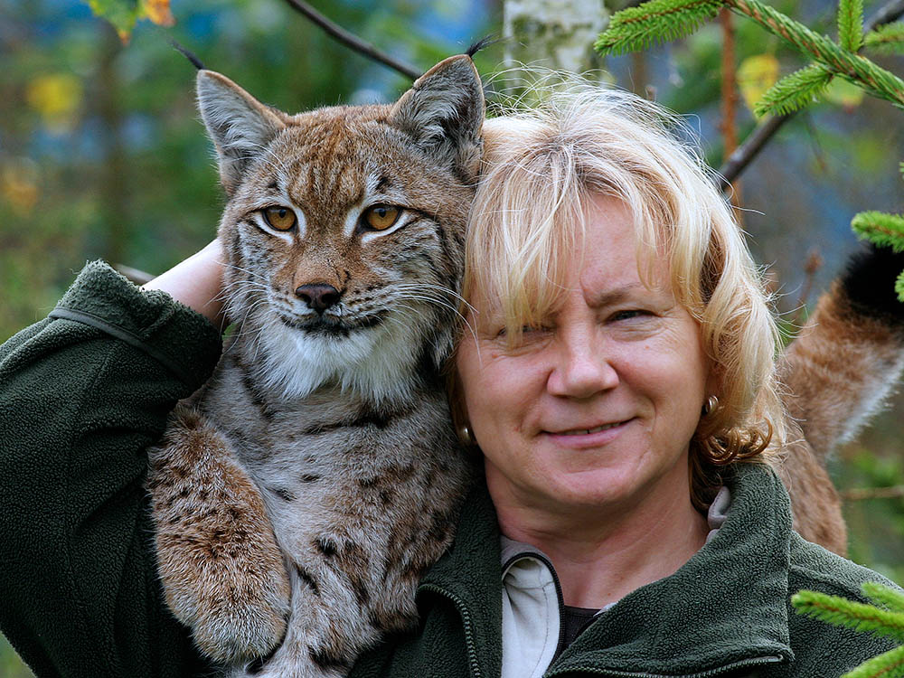 Bożena Walencik with lynx named Sonia, photo: Jan Walencik