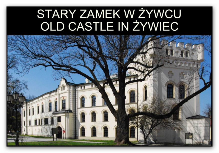 Piękno odnalezione. Stary Zamek w Żywcu, fot. www.positiveimage.com.pl