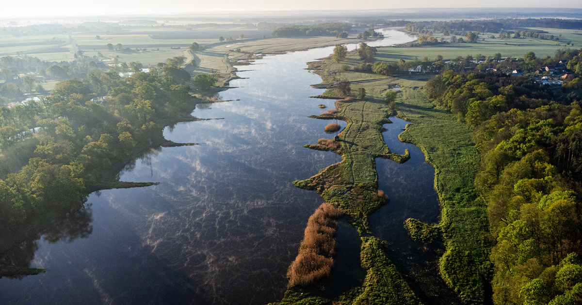 Odra Jako Osoba. Wyzwanie Rzucone Prawu | Artykuł | Culture.pl