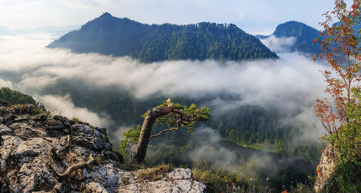最も魅力的なポーランドの山脈9選 | Article | Culture.pl