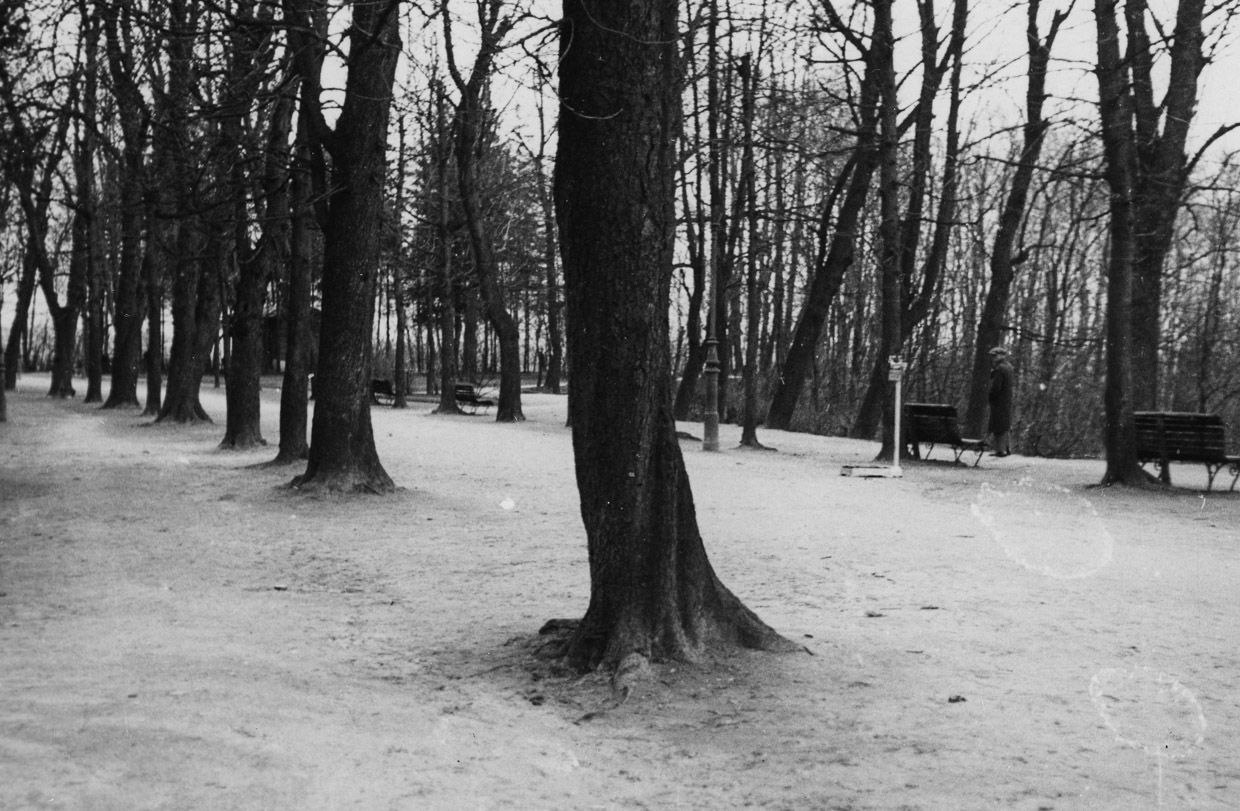 Czarno-białe zdjęcie parku z dużą ilością ławek