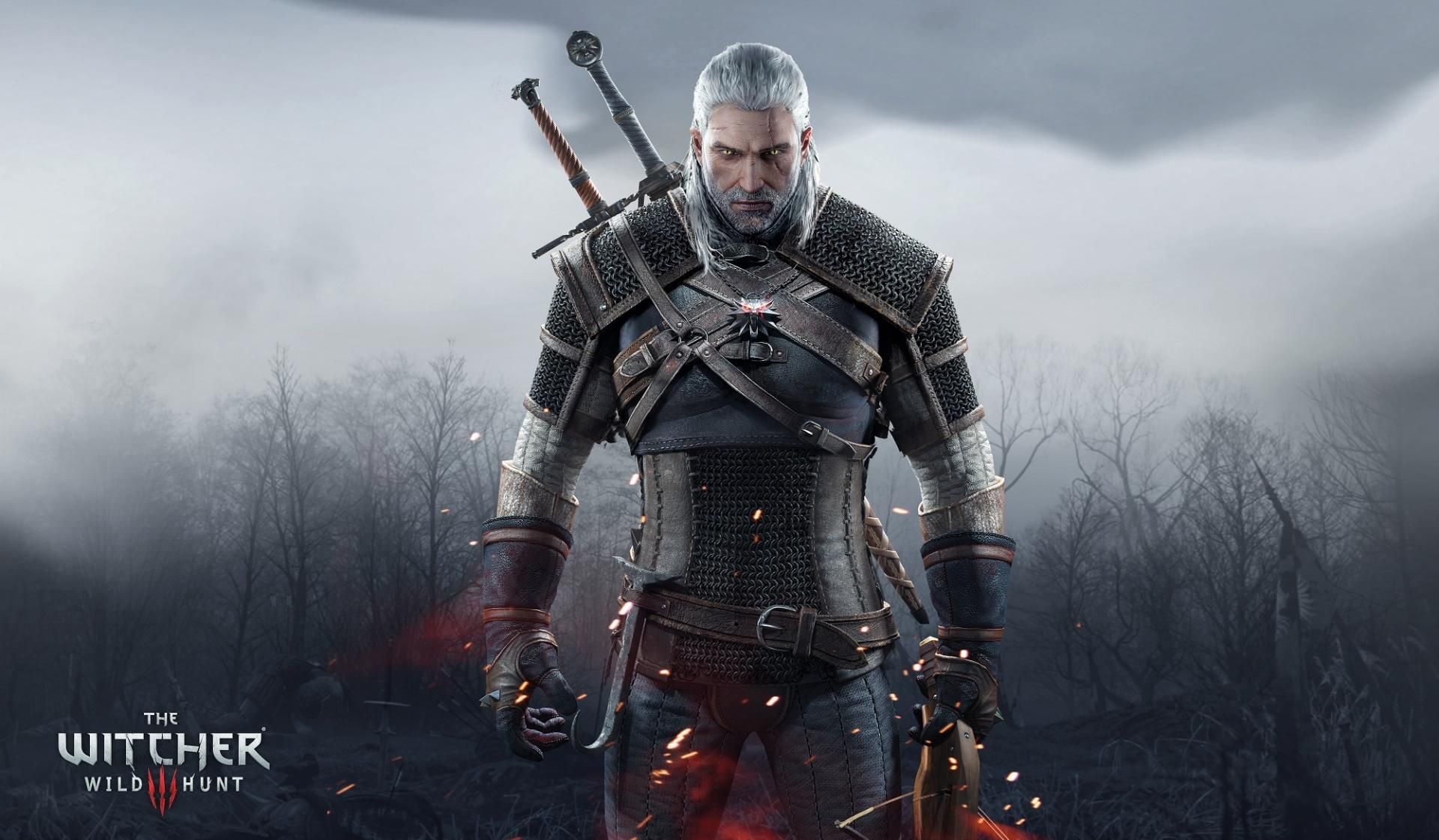 the witcher video game