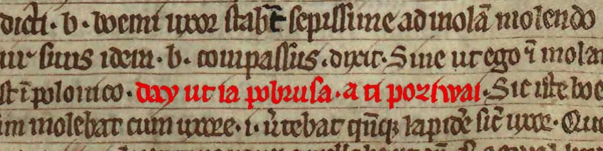 "Day ut ia pobrusa, a ti poziwai" - pierwsze zdanie zapisane w języku polskim w Księdze henrykowskiej ok. 1270 roku, fot. Wikimedia/CC