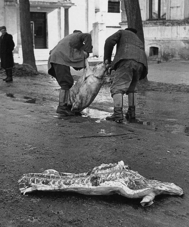 "Dowieźli towar", 1963, Orneta, fot. Andrzej Baturo